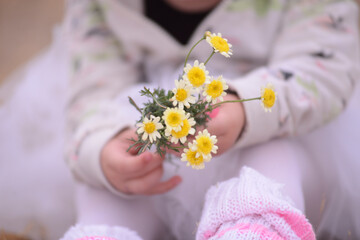 Fototapeta na wymiar manos de niña con flores amarillas
