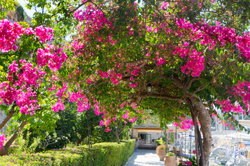 Corfu town, Greece