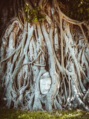 buddha statue in the temple