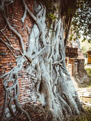 archaeological site country