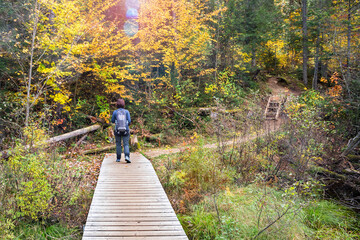 Woman hiker on a wooden walkway over wetland along a forest trail in a park on a sunny autumn day. Lens flare. Algonquin Park, ON, Canada.
