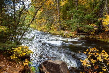 Rapids along a river running through a colourful forest in autumn. Algonquin Park, ON, Canada.