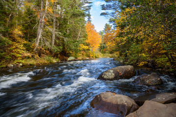 Fast-flowing river through a forest in autumn. Beautiful fall foliage. Algonquin Park, ON, Canada.
