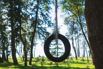 Old car tire hanging on tree at playground.