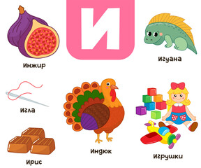 Fototapeta premium Russian alphabet. Written in Russian fig, iris, needle, turkey, toys, iguana