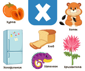 Russian alphabet. Written in Russian refrigerator, persimmon, hamster, bread, chrysanthemum, chameleon © Екатерина Столяренко