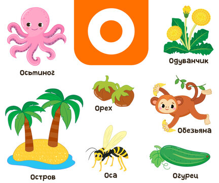 Russian alphabet. Written in Russian octopus, cucumber, dandelion, island, walnut, wasp, monkey