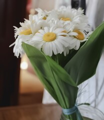 A small bouquet of white daisies standing in a vase, on a blurred background