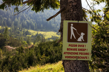 Warning sign for Pet Owners that are Sheep in free range pasture in the area and for that reason to...