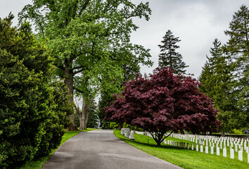 Fototapeta premium An Afternoon Stroll Trough The National Cemetery in Gettysburg