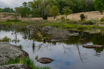 Beaver Pond on the Battlefield