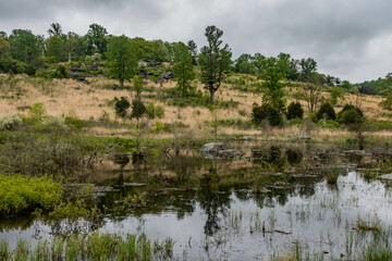 Fototapeta na wymiar Beaver Pond Below Little Round Top