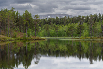 The view of the lake and forest in cloudy weather at Lemmenjoki National Park in Finland.