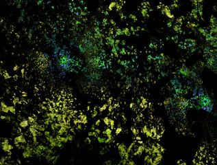 Imaginatory fractal abstract background Image