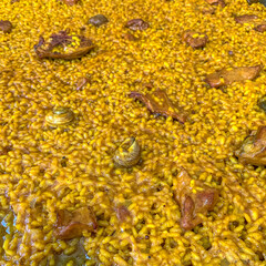 Valencian paella with chicken and snails