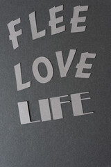 feel love life (gray background)