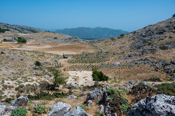 Ruches  sur un plateau  montagneux de Céphalonie