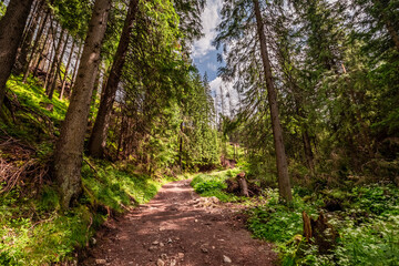 Rocky footpath in Tatras Mountains in Poland