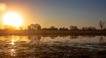 Naklejka premium sunrise