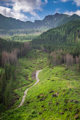 Fototapeta premium Path to Kasprowy Wierch from Zakopane in Tatra mountain, Poland