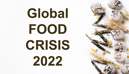 Global and European grain and wheat crisis after Russia's invasion of Ukraine 2022. Embargo and...
