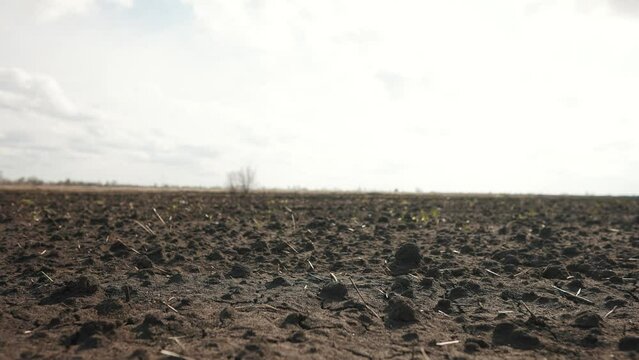 Agricultural sky landscape arable field. business agriculture concept soil. walk on brown black arable a land. preparation for sowing crops in agriculture landscape motion steadicam. farming field