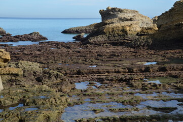 Low tide on the coast from Biarritz