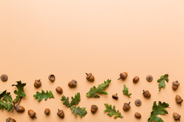 Branch with green oak tree leaves and acorns on colored background, close up top view © sosiukin