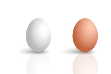 White and brown raw eggs in white background illustration design