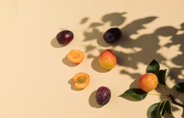Creative food composition made of apricots and plums. Sunlight and tree shadow. Flat lay.