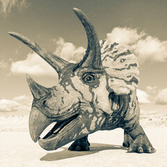triceratops id profile picture © DM7