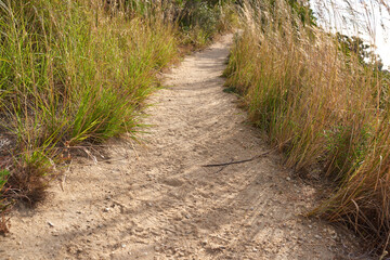 Scenic hiking trail through grassland along a mountain. Closeup of a rugged and sandy path in nature to explore during a walk in the fresh air outdoors. Remote and quiet landscape in the wilderness