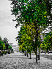 alley in the park