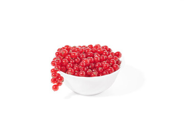 Red currants berry in a white cup isolated on white background.