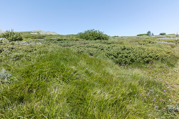 Landscape of Vitosha Mountain near Aleko hut, Bulgaria