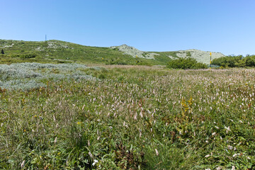 Obraz premium Landscape of Vitosha Mountain near Aleko hut, Bulgaria