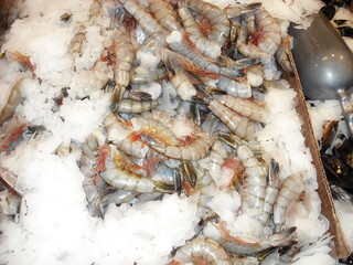 Prawns on ice at a seafood market.