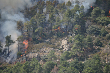 Incendio