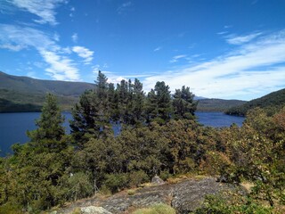 Obraz premium Grove by the Lake