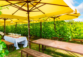 A lush garden with a table set up with place settings and wine glasses under yellow umbrellas in a...