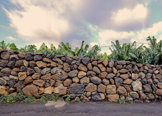 Copyspace with palm trees behind an old stone wall in La Palma, Canary Islands, Spain against a cloudy sky background. Rough exterior architecture with plants growing in a remote tropical destination