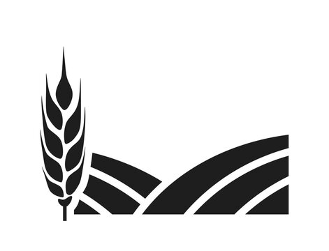 wheat spikelet and fields icon. plant growing, agriculture, farming and harvest symbol. isolated vector image