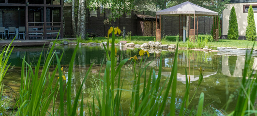 Fototapeta na wymiar Beautiful landscaping with pond, plants and gazebo. Backyard garden landscaping. Landscape design.