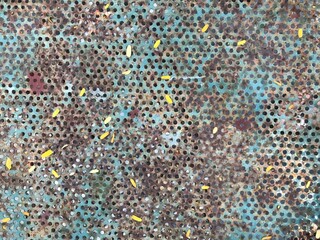 Leaves falling on rusty steel 
