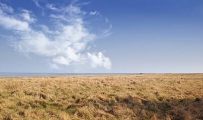 Fototapeta na wymiar Landscape of a dry open field by the sea in the East coast of Kattegat, Jutland, near Mariager fjord, Denmark showing change in season. Springtime in an arid coastal meadow in the wilderness