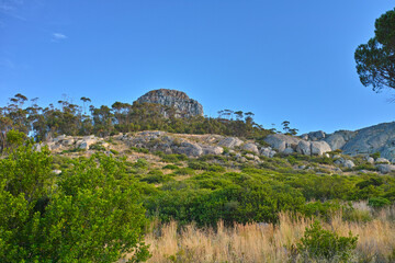 Landscape view of Table Mountain and surroundings during the day in summer. Scenery of a popular natural landmark with bushes and trees for tourism. Copyspace of a tourist attraction in Cape Town