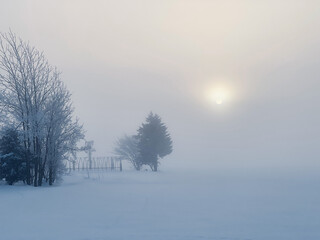 A morning in a foggy winter field