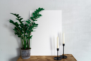 White frame with space for writing on a table with a flower in a pot. Zamioculcas on the table. Two candles on the table.