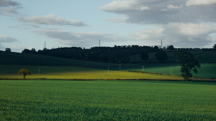sun setting over green field and sky
