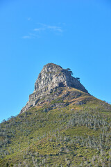 Lions Head mountain on a clear day against blue sky copy space. Tranquil beauty in nature on a peaceful morning in Cape Town with a below view of a peak or summit and its vibrant lush green plant